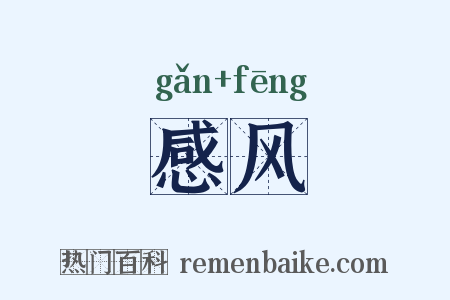 感风是什么意思的图片